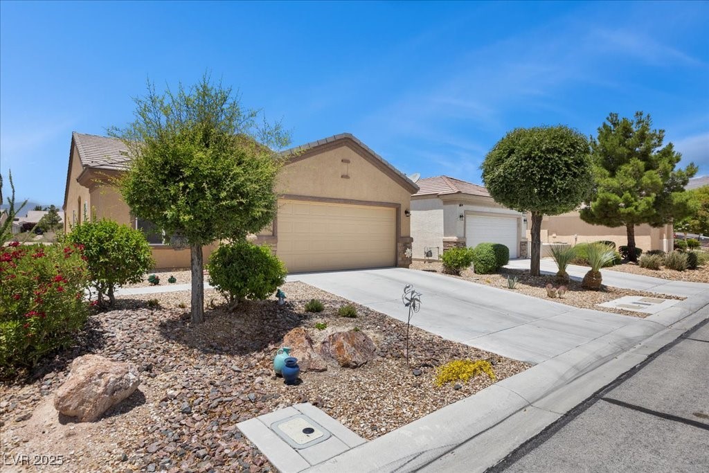 7817 Homing Pigeon Street