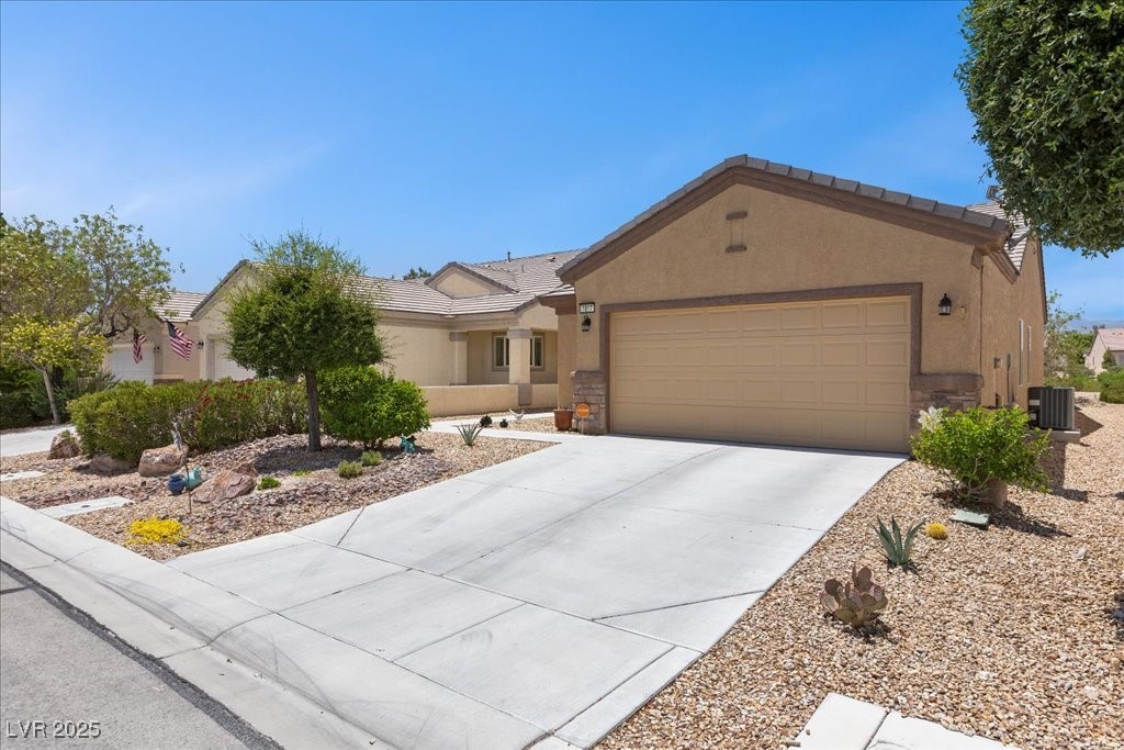 7817 Homing Pigeon Street