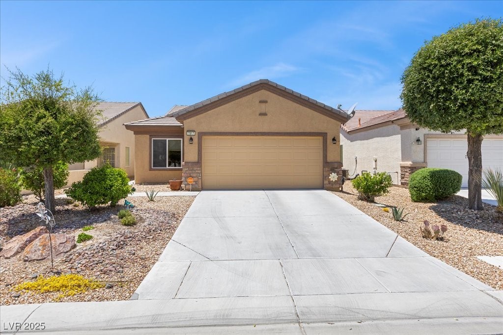 7817 Homing Pigeon Street