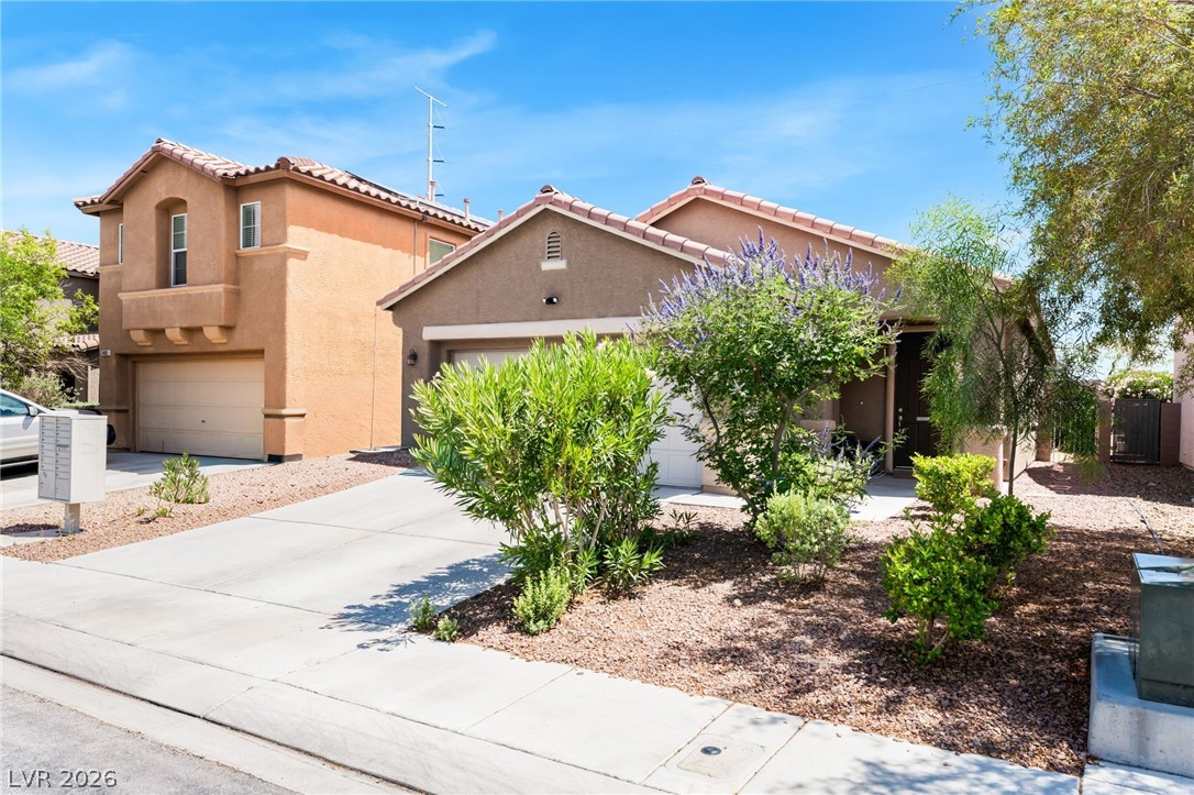 2409 Cockatiel Drive