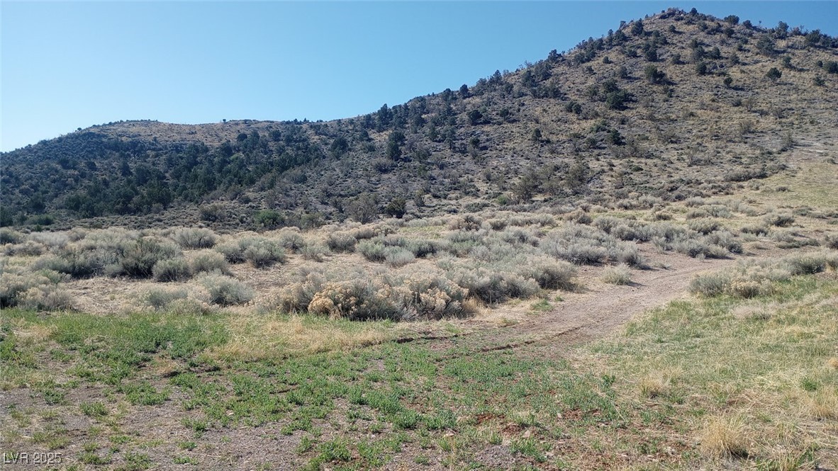 Field Street, Pioche, Nevada image 3