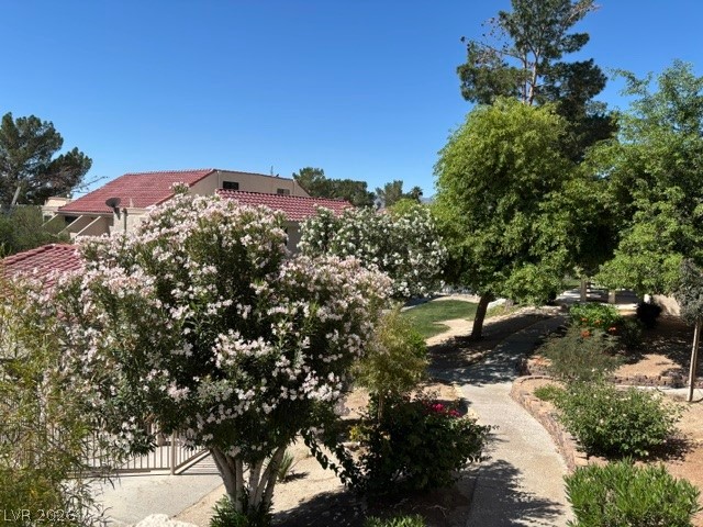 3730 Desert Marina Drive 16