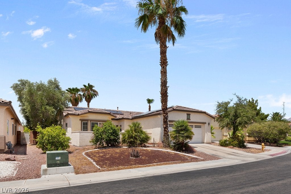 6243 Black Mane Way
