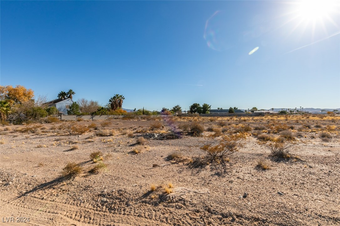 W Cougar Avenue, Las Vegas, Nevada image 12