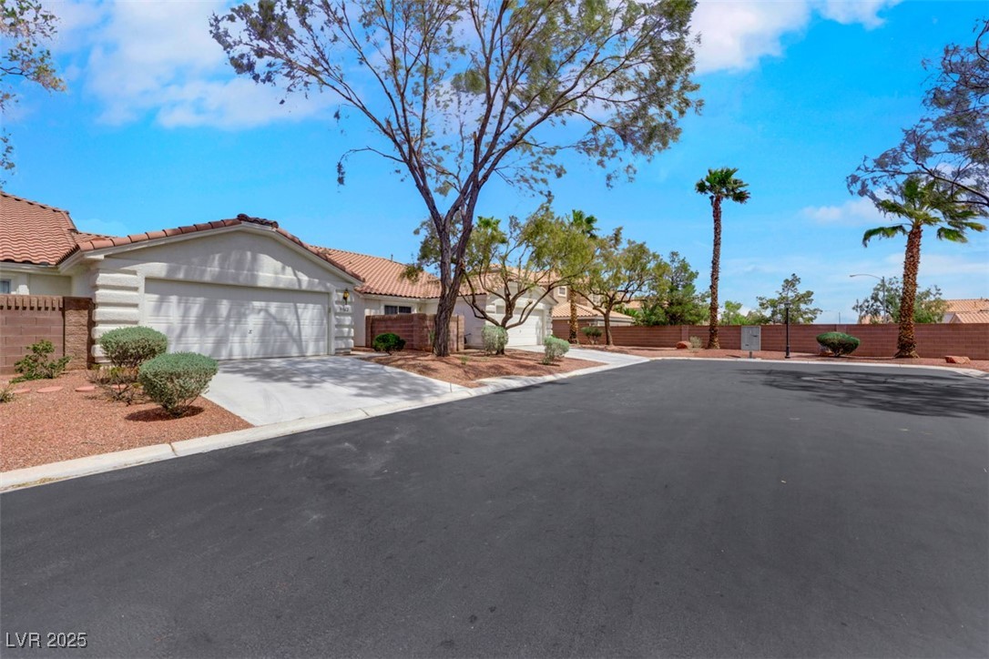 9962 Catalina Canyon Avenue, Las Vegas, Nevada image 1