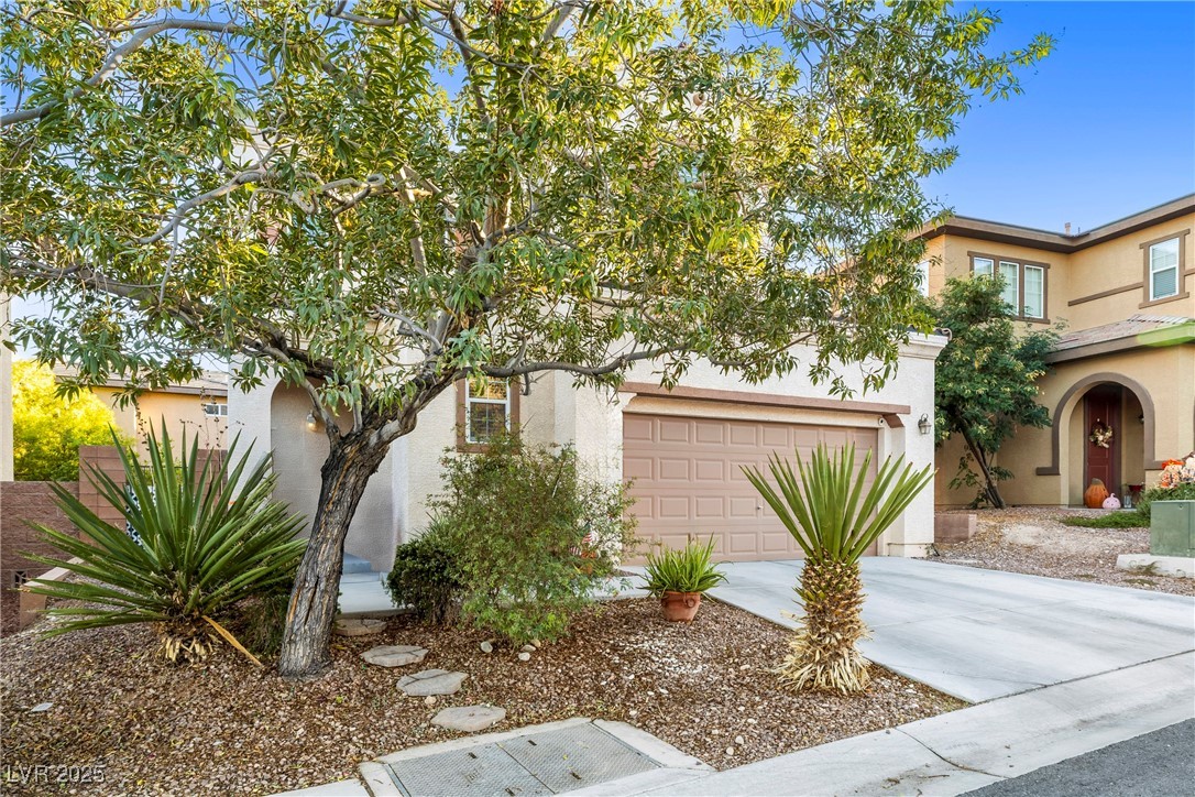 10625 Derby Peak Lane