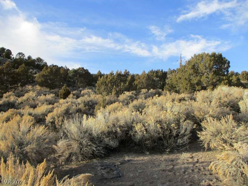 Nevada Hwy 322 (9.86 Ac), Pioche, Nevada image 1