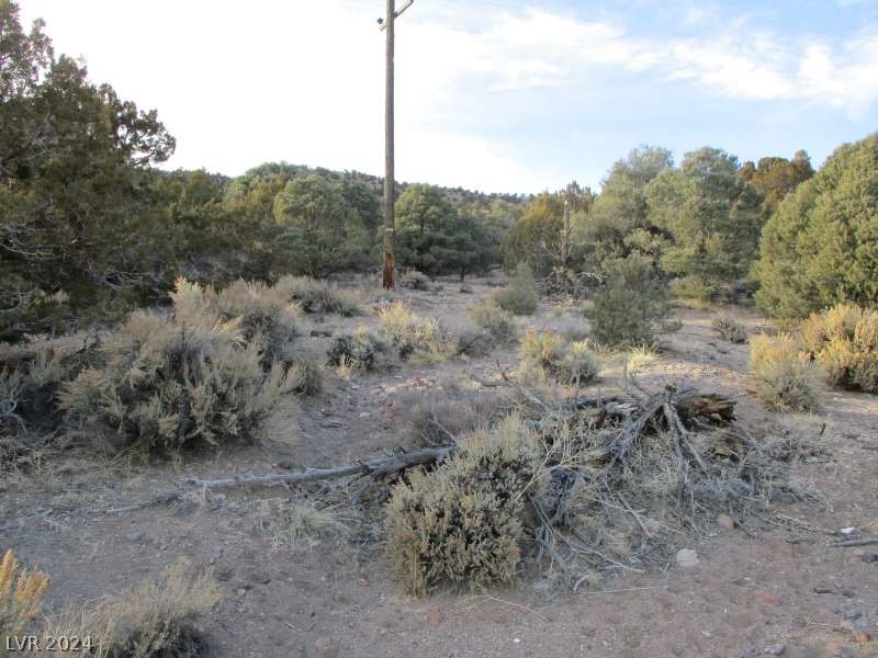 Nevada Hwy 322 (9.86 Ac), Pioche, Nevada image 5