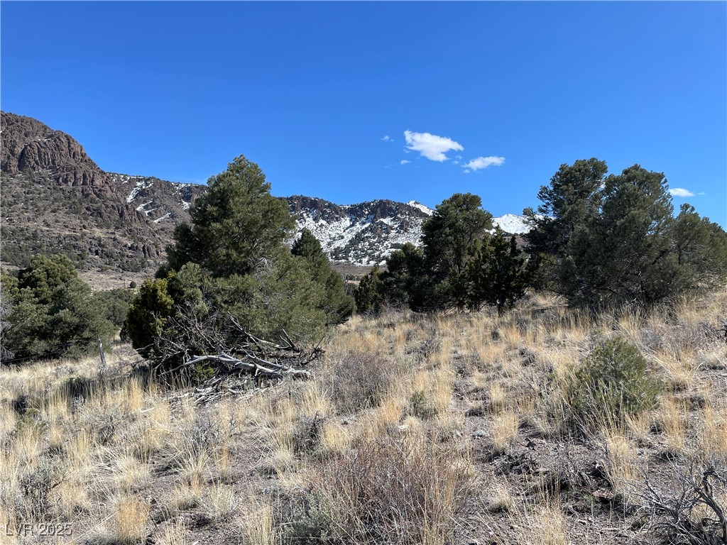 P-15 Butte Valley, Ely, Nevada image 1