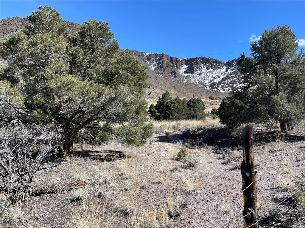 P-15 Butte Valley, Ely, Nevada image 3
