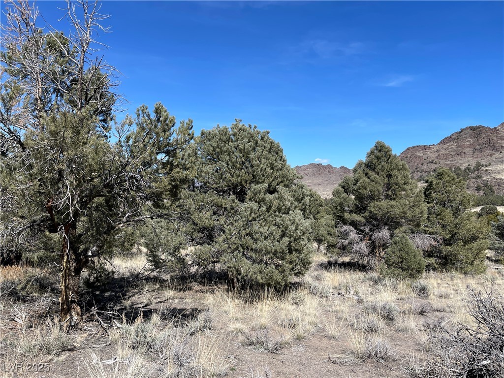 P-15 Butte Valley, Ely, Nevada image 2