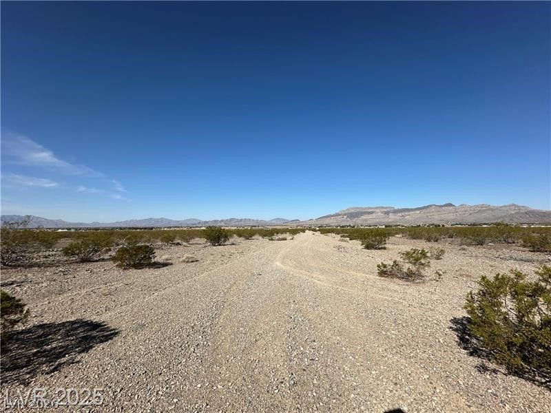 1331 E Saguaro Drive