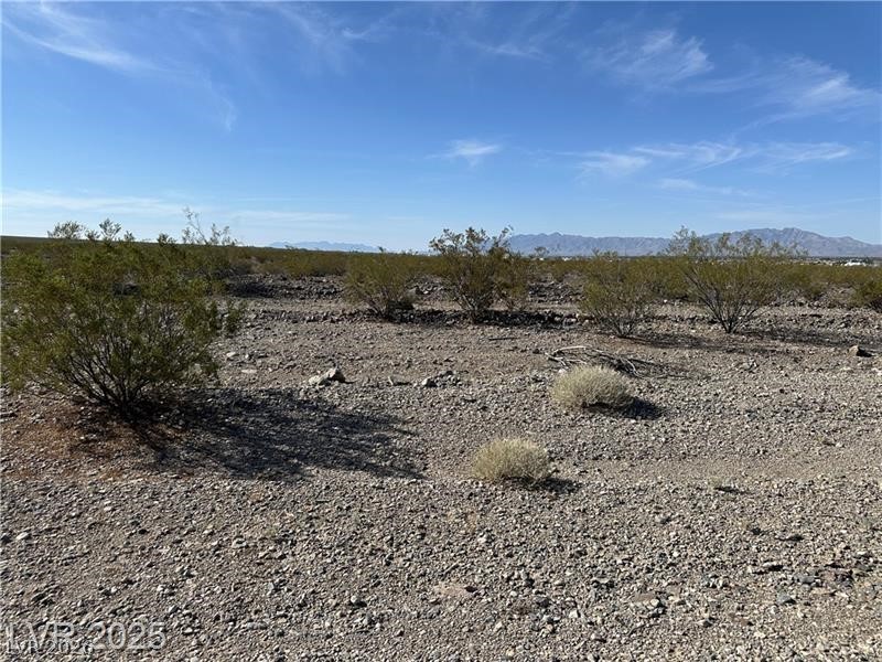 1331 E Saguaro Drive