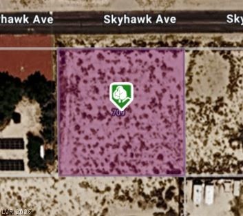709 Skyhawk Avenue