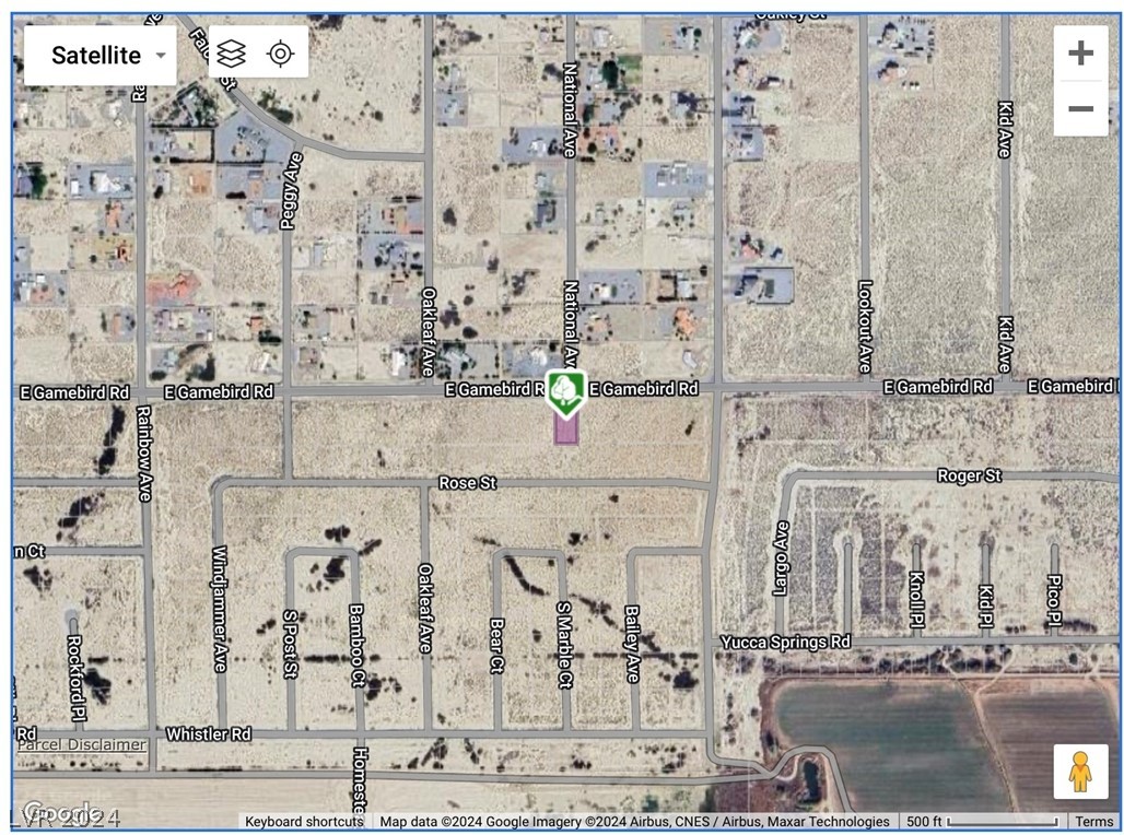 3831 E Gamebird Road, Pahrump, Nevada image 3
