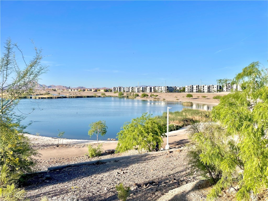 81 Sertata Court, Henderson, Nevada image 46