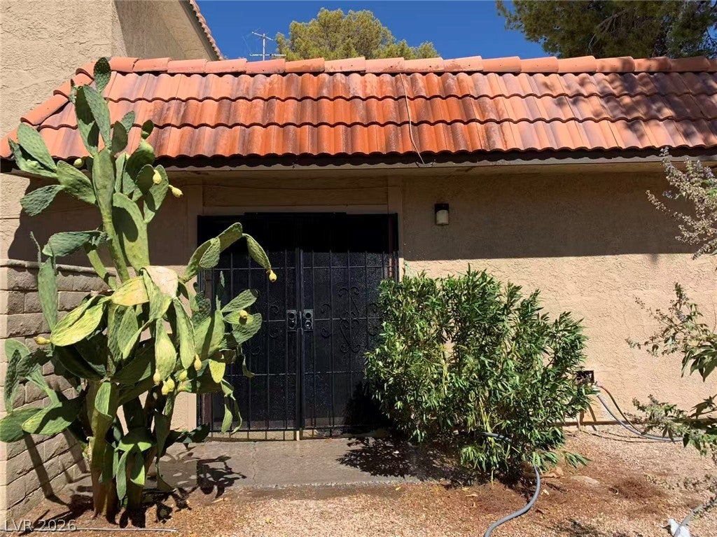 1897 Avacado Court