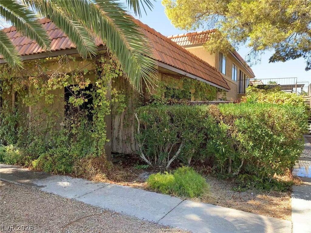 1897 Avacado Court
