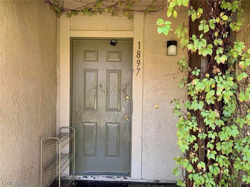 1897 Avacado Court