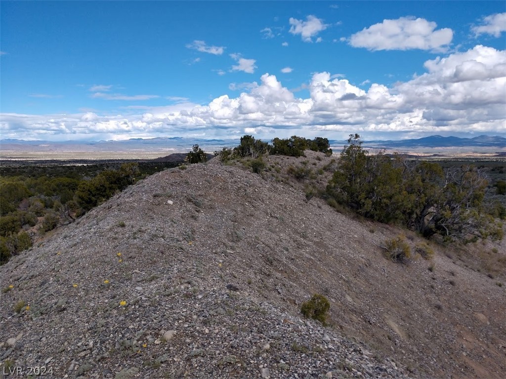 Bennett Springs, Pioche, Nevada image 10