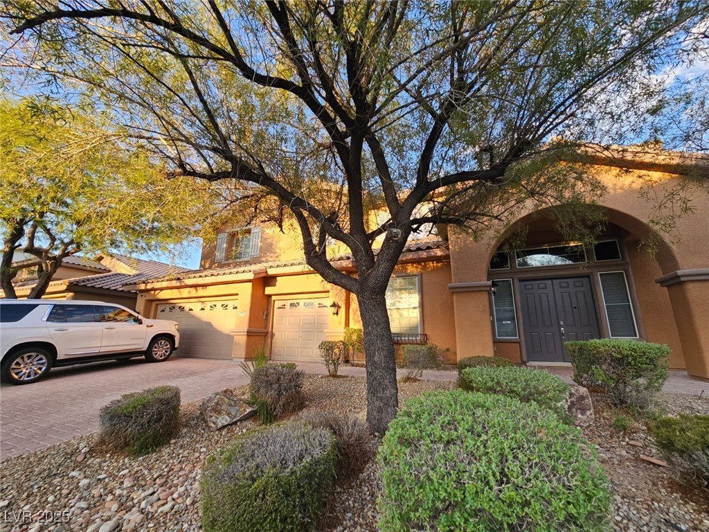 9636 Trattoria Street