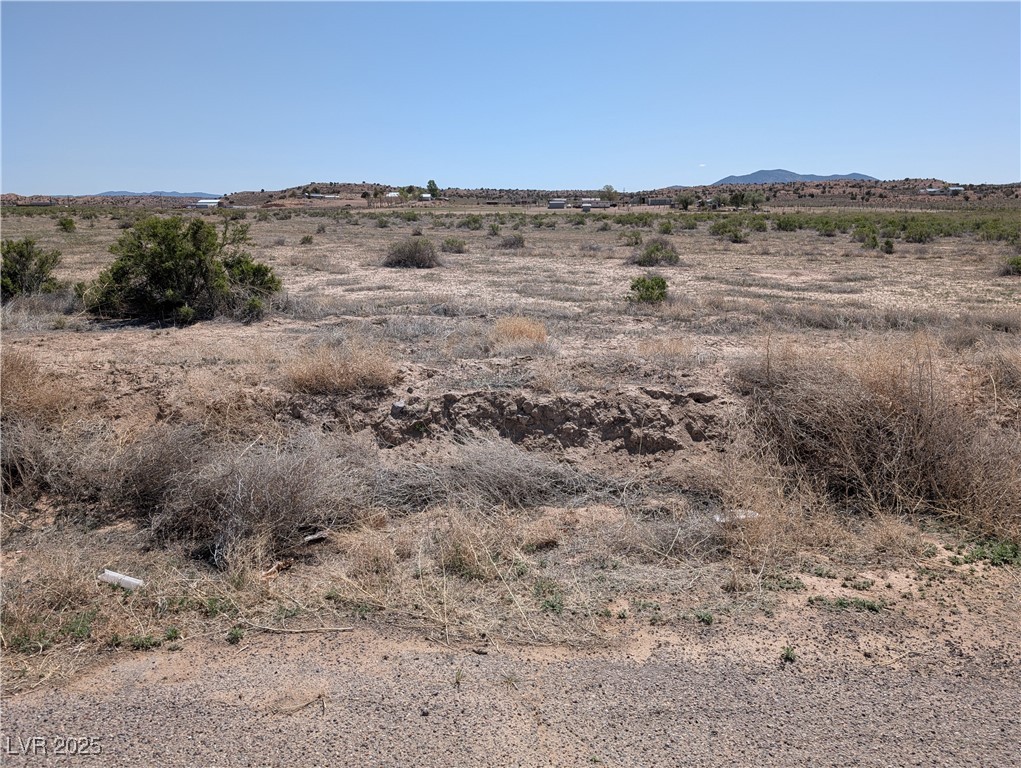 Pam, Caliente, Nevada image 11