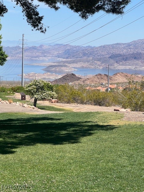 232 Morgyn Lane #6, Boulder City, Nevada image 46