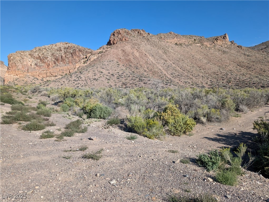 US Hwy 93 (19.14 Ac)
