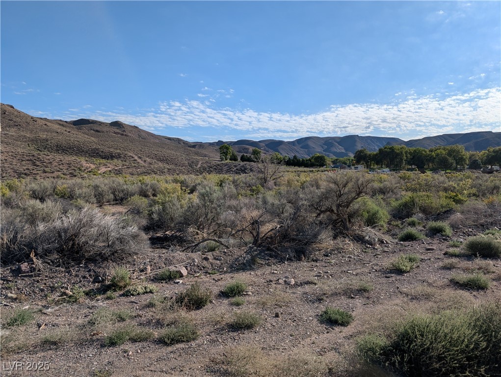 US Hwy 93 (19.14 Ac)