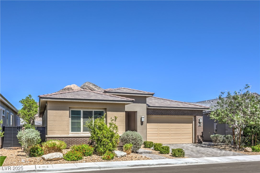 11080 Black Fire Opal Drive