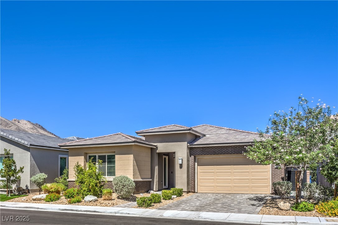 11080 Black Fire Opal Drive