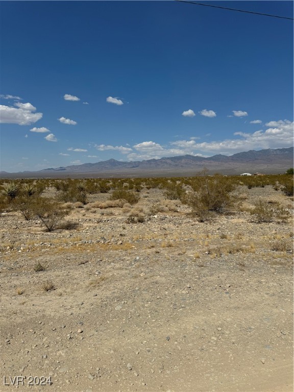 1410 E Blosser Ranch Road, Pahrump, Nevada image 1