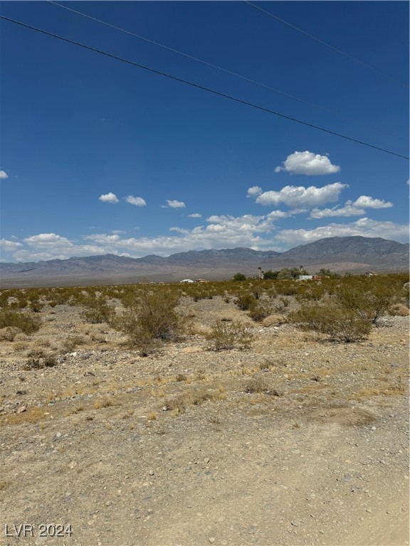 1410 E Blosser Ranch Road, Pahrump, Nevada image 3