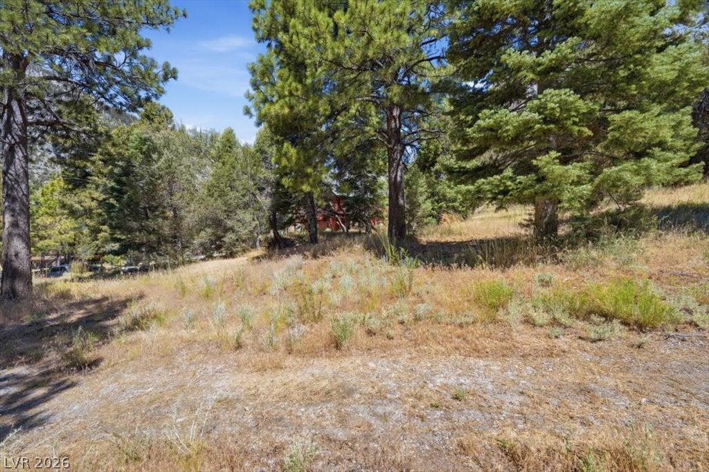 248 Crestview Drive