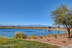 697 Omaggio Place, Henderson, Nevada image 33