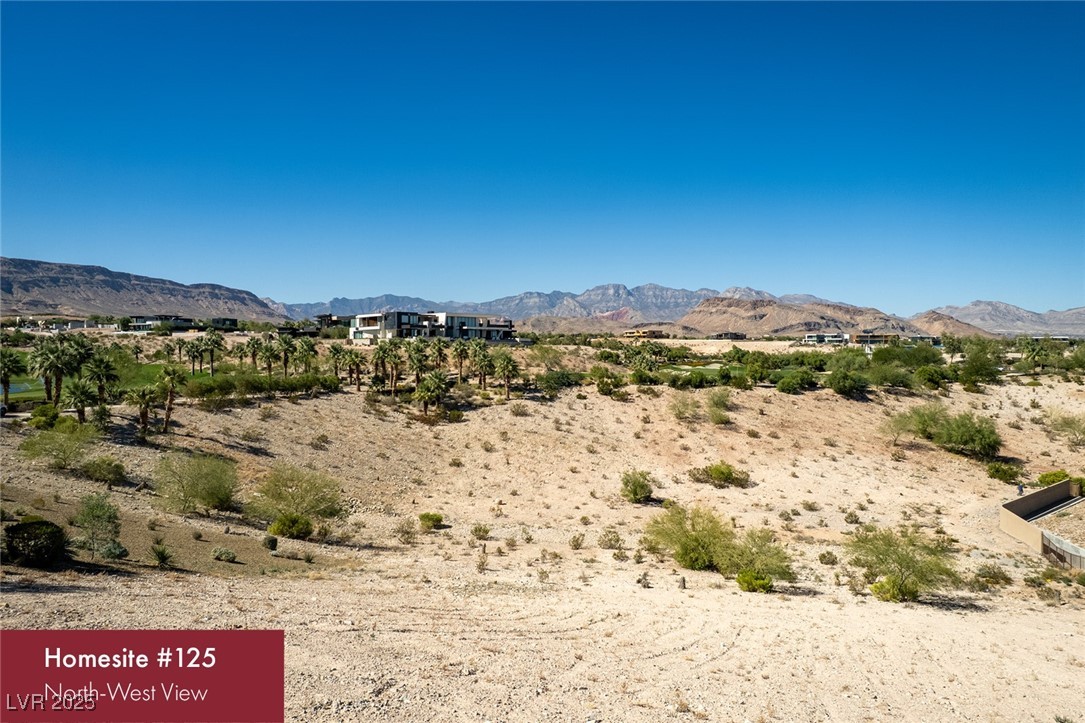 11118 Canyon Pass Drive