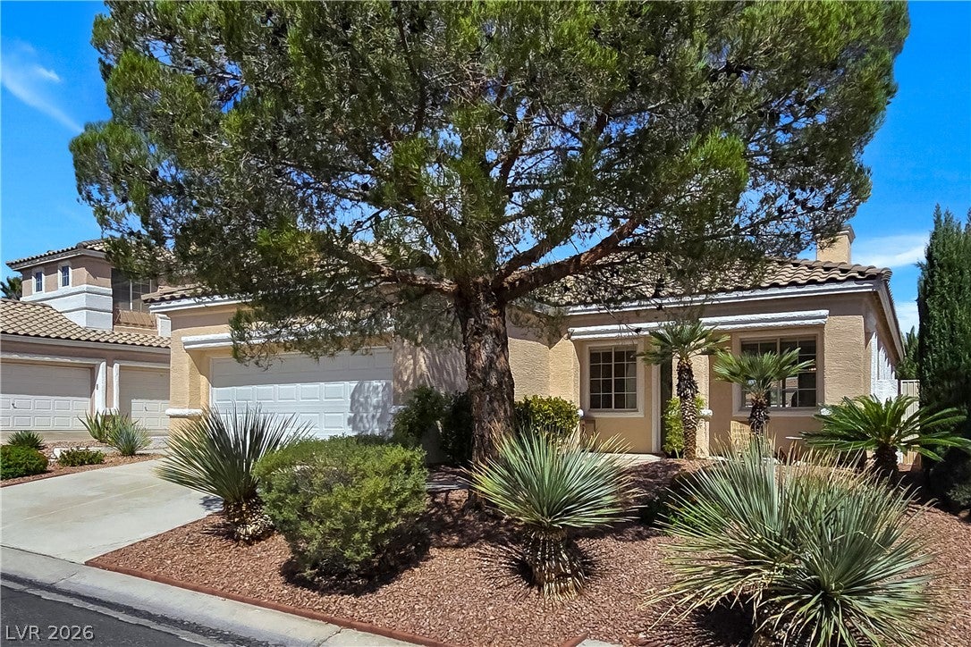 10104 Pinnacle View Place