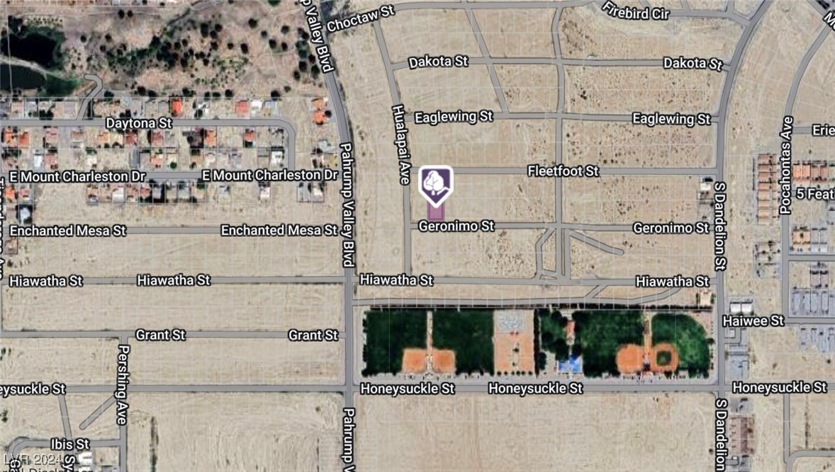 1480 E Geronimo Street, Pahrump, Nevada image 4