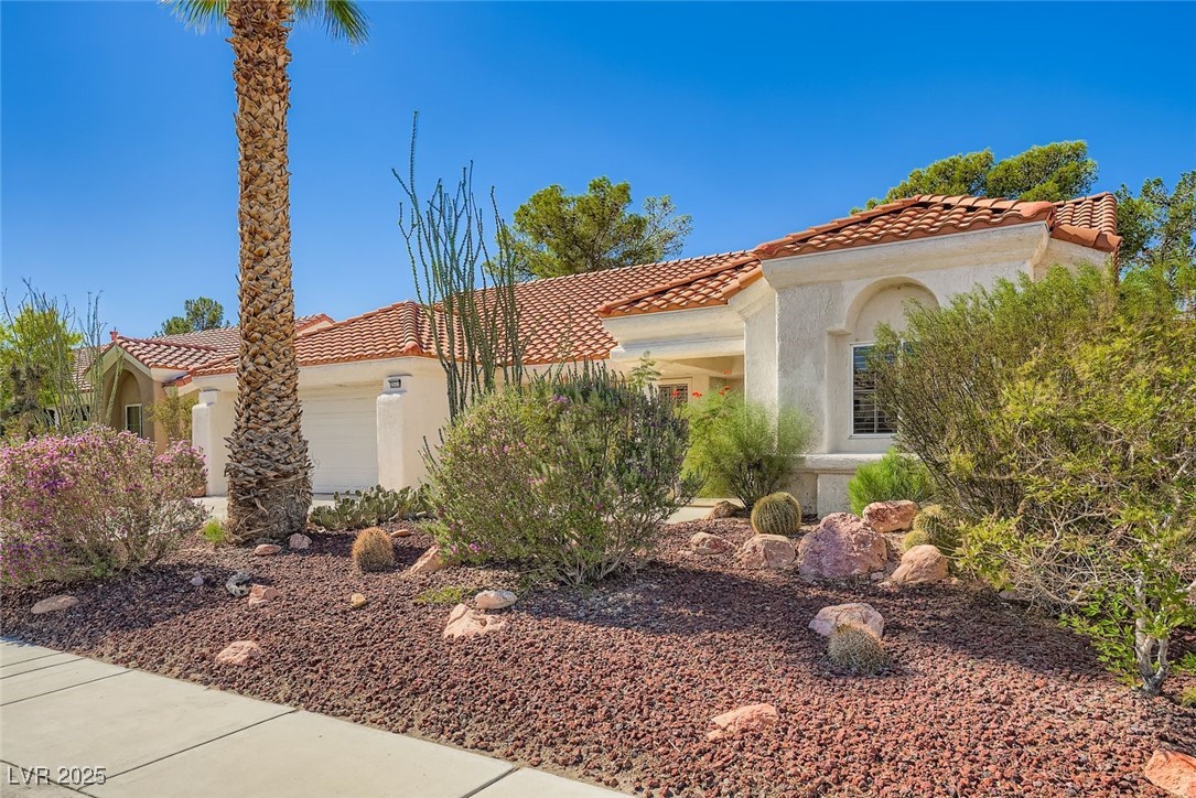 2517 Desert Butte Drive