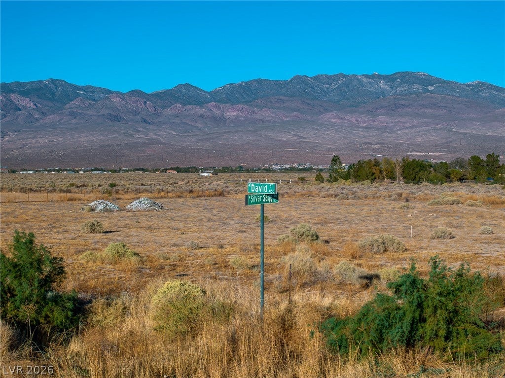 1470 Silver Sage
