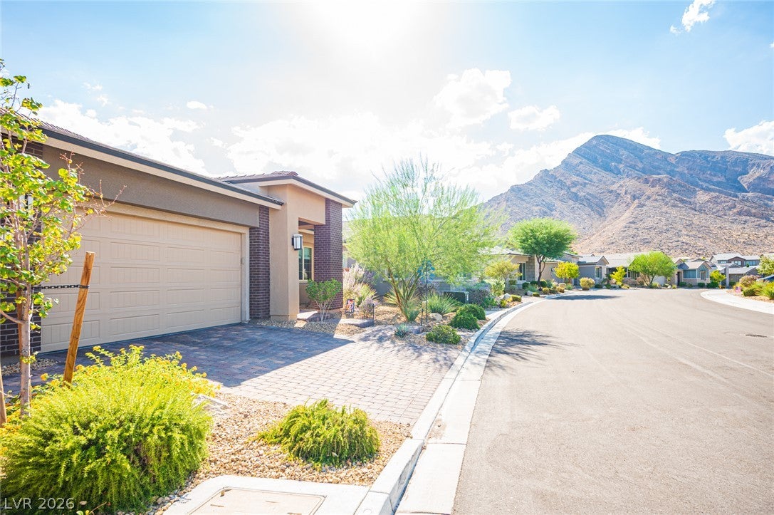 11113 Black Fire Opal Drive