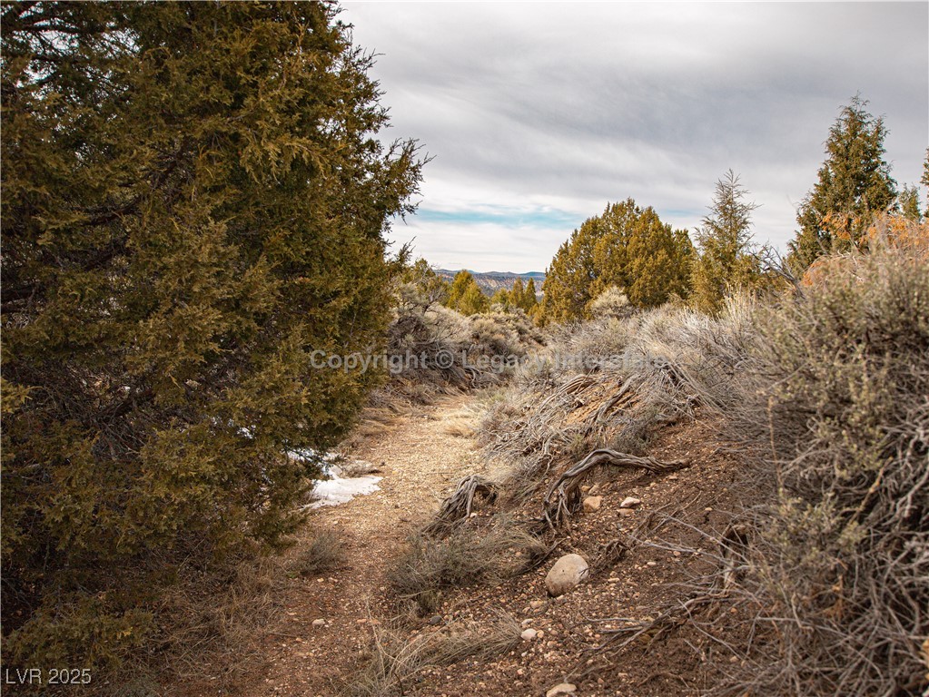 Lot 6 Moquie Court, Alton, Utah image 21