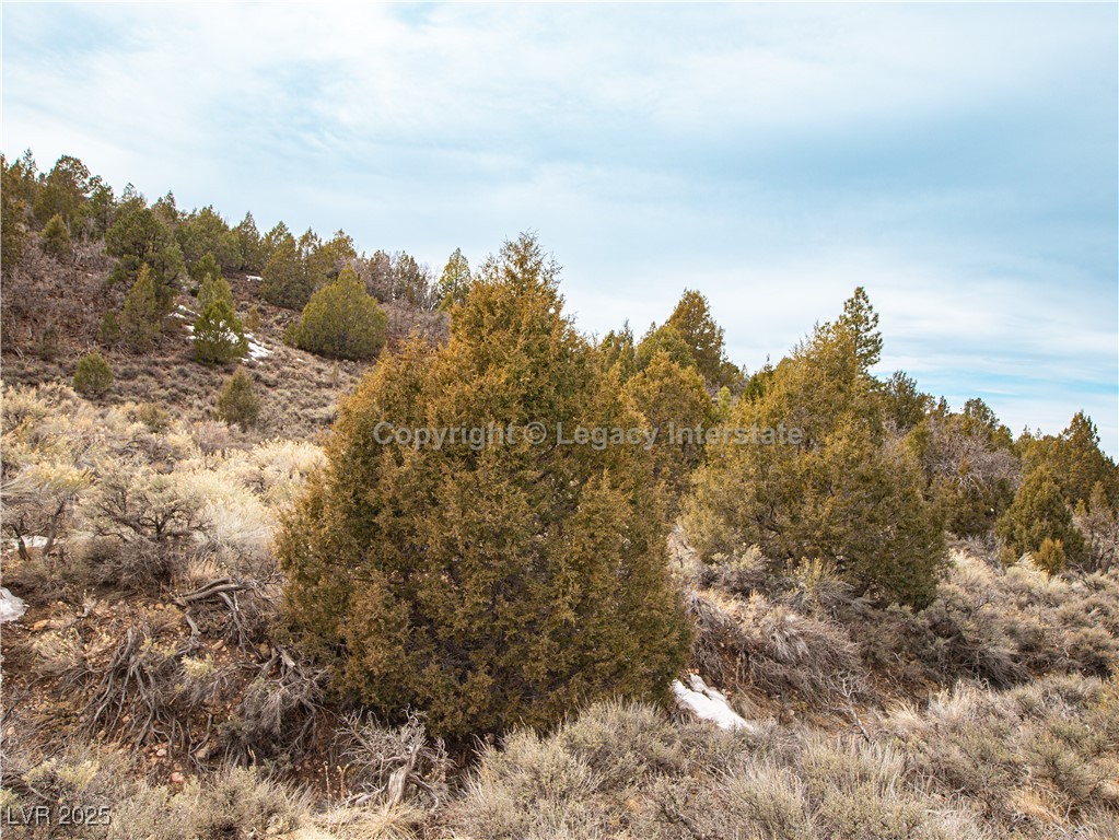Lot 6 Moquie Court, Alton, Utah image 23