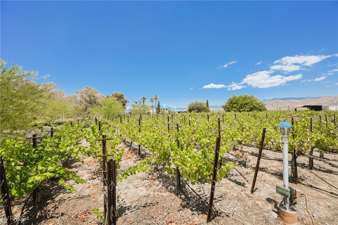 1960 S Vineyard Drive, Pahrump, Nevada image 33