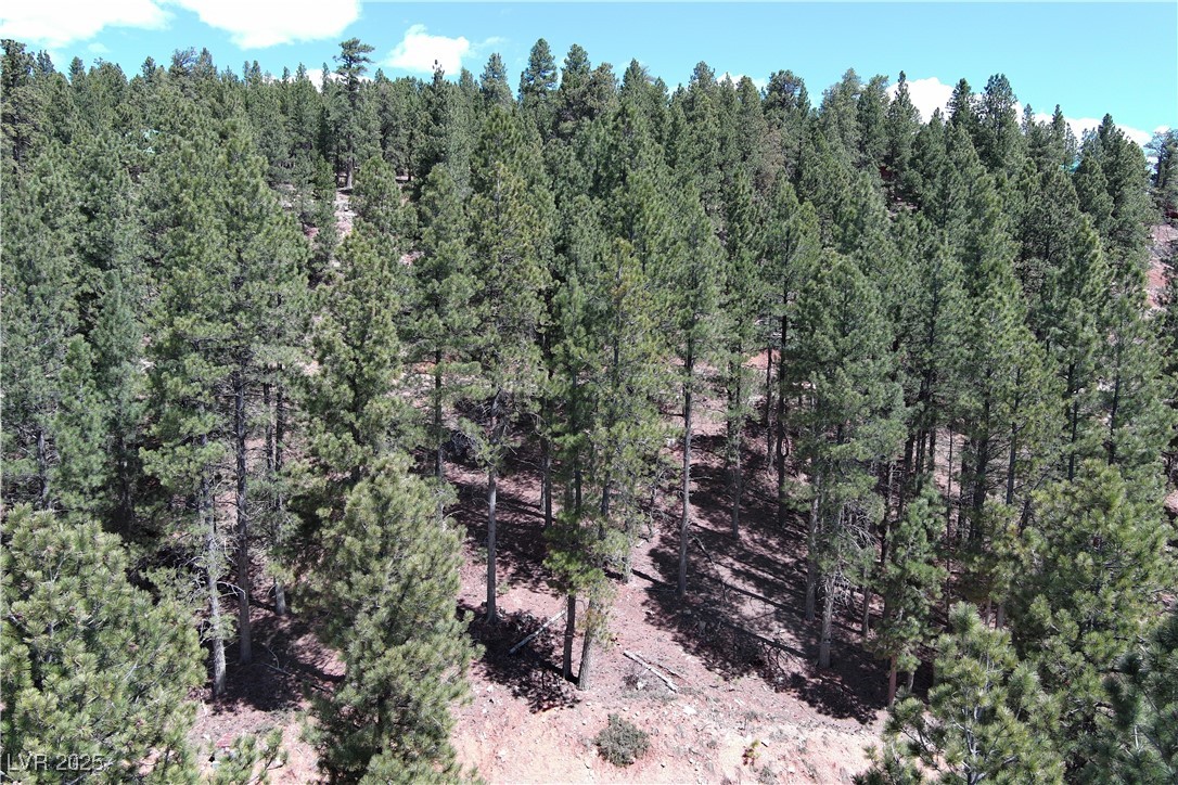 2195 Sleepy Meadow Lane, Duck Creek Village, Utah image 1