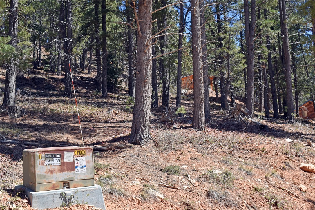 2195 Sleepy Meadow Lane, Duck Creek Village, Utah image 3