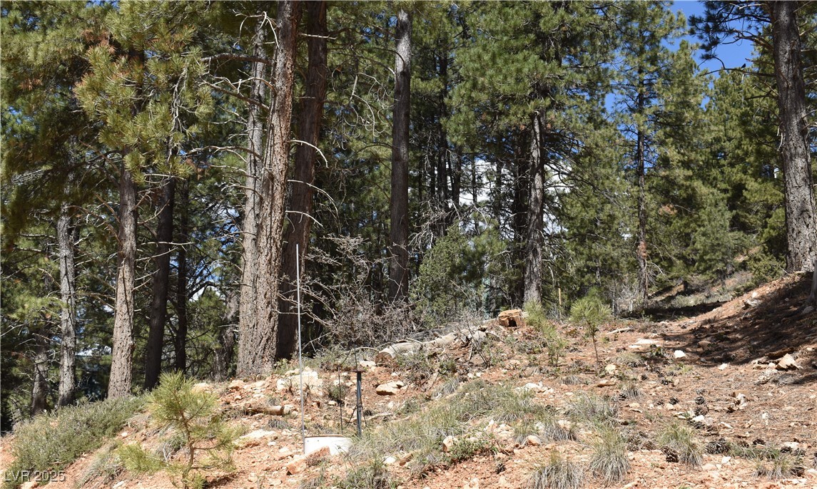 2195 Sleepy Meadow Lane, Duck Creek Village, Utah image 12
