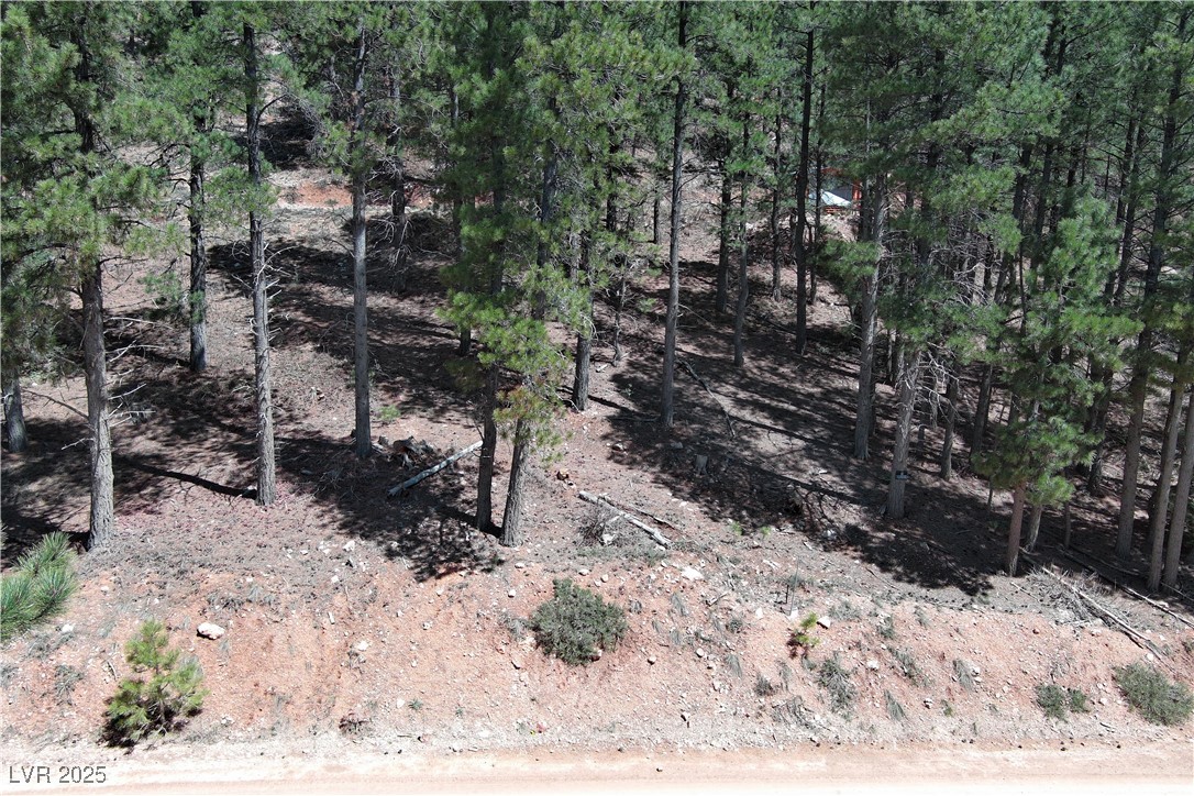 2195 Sleepy Meadow Lane, Duck Creek Village, Utah image 2