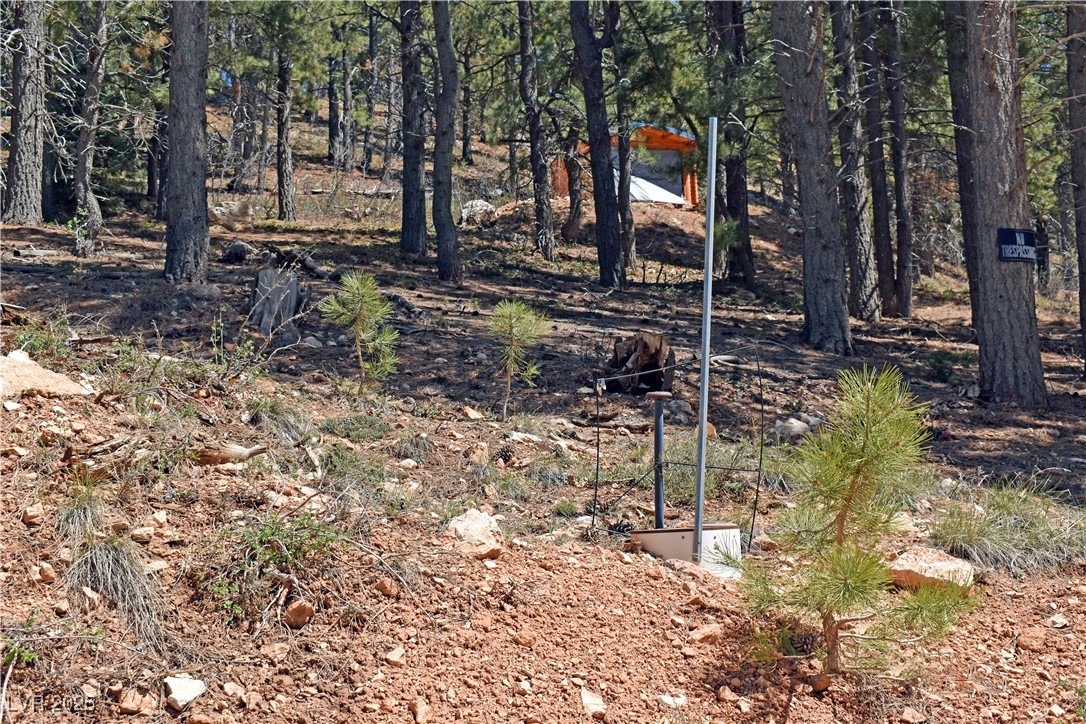 2195 Sleepy Meadow Lane, Duck Creek Village, Utah image 4
