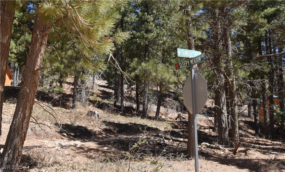 2195 Sleepy Meadow Lane, Duck Creek Village, Utah image 13